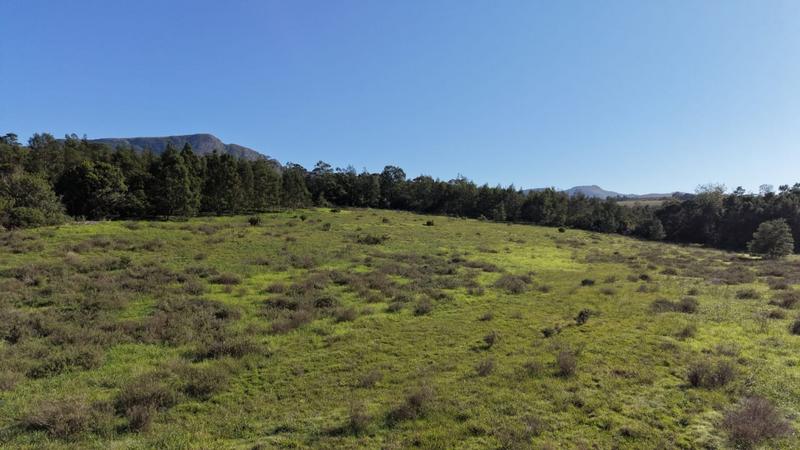 0 Bedroom Property for Sale in Albertinia Western Cape